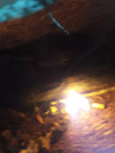 Und am Anfang war das Feuer