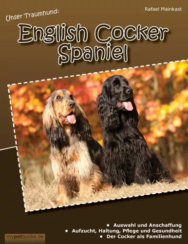 Unser Traumhund: English Cocker Spaniel