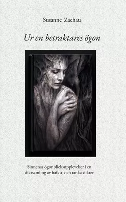 Ur en betraktares ögon