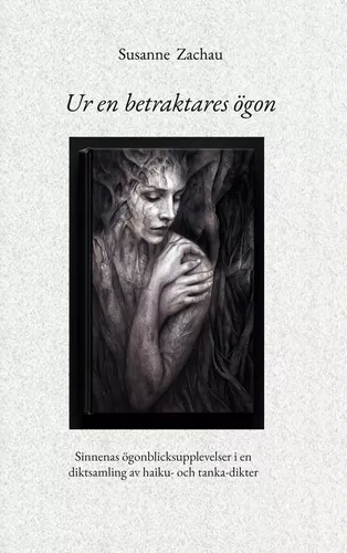 Ur en betraktares ögon