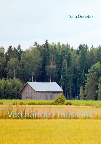 Vad hände i Tulisaari?