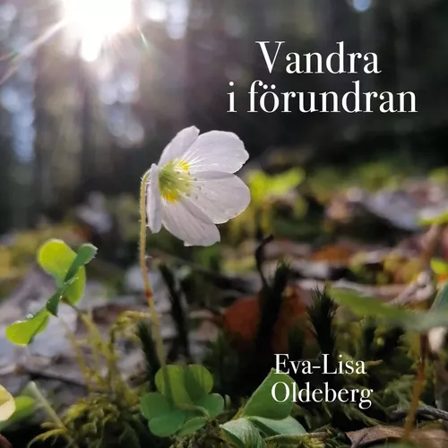 Vandra i förundran