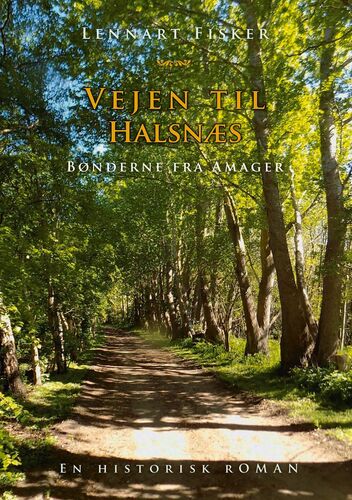 Vejen til Halsnæs