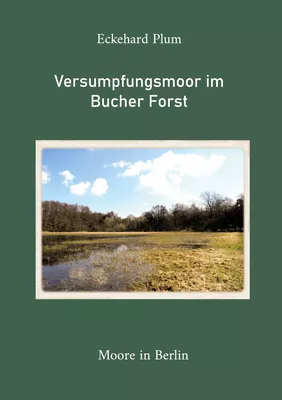 Versumpfungsmoor im Bucher Forst