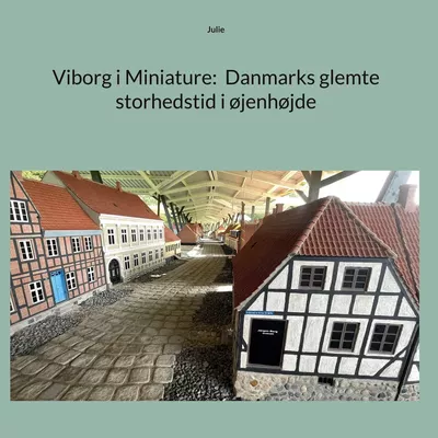 Viborg i Miniature:  Danmarks glemte storhedstid i øjenhøjde