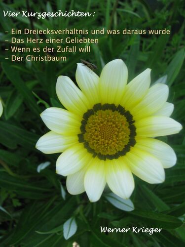 Vier Kurzgeschichten