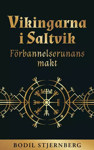 Vikingarna i Saltvik