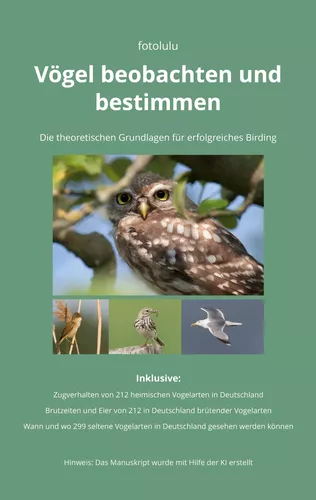 Vögel beobachten und bestimmen