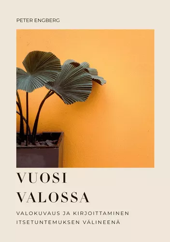 Vuosi Valossa