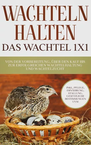 Wachteln halten - Das Wachtel 1x1
