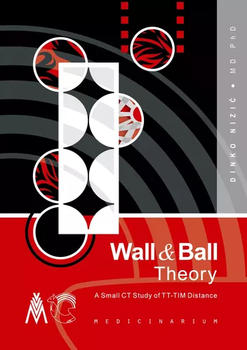 Wall & Ball Theory