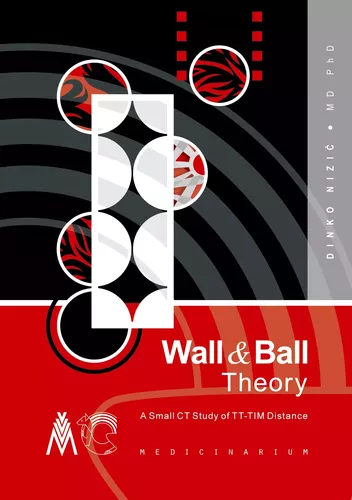 Wall & Ball Theory