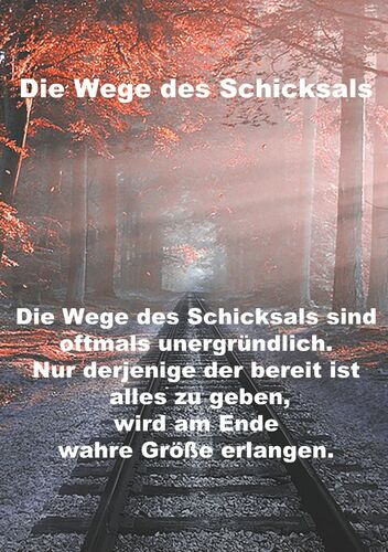 Wege Des Schicksals Besiegt den seher der teufelsseele. wege des schicksals