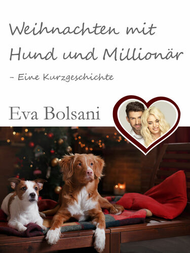 Weihnachten mit Hund und Millionär - Eine Kurzgeschichte