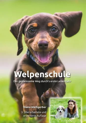 Welpenschule