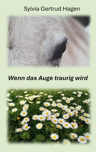 Wenn das Auge traurig wird