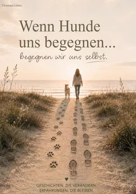 Wenn Hunde uns begegnen...