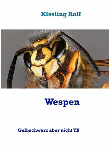 Wespen