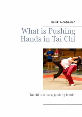What is Pushing Hands in Tai Chi