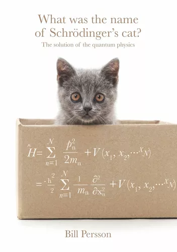 What was the name of Schrödinger's cat?