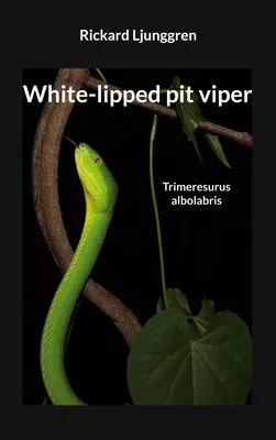 White-lipped pit viper