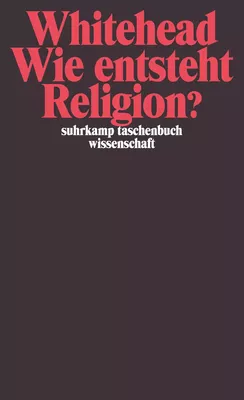 Wie entsteht Religion?