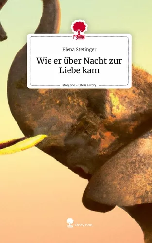 Wie er über Nacht zur Liebe kam. Life is a Story - story.one