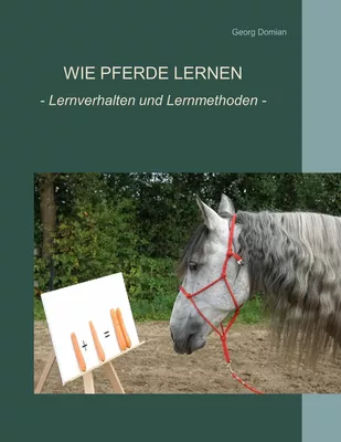Wie Pferde lernen