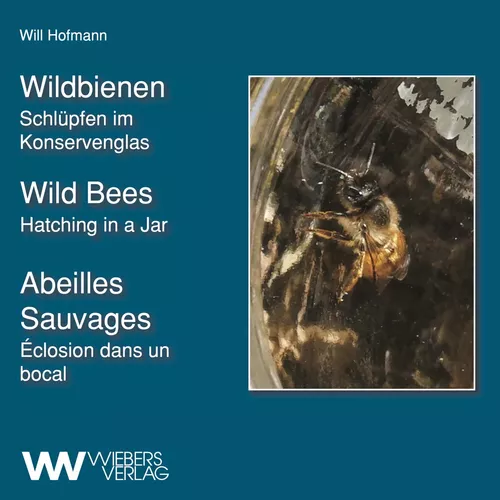 Wildbienen