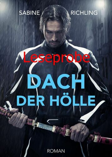 XL-Leseprobe: Dach der Hölle