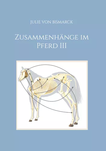 Zusammenhänge im Pferd III